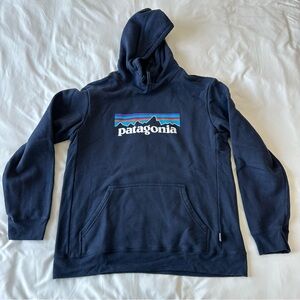 Patagonia Men's Navy Hoodie with Logo
